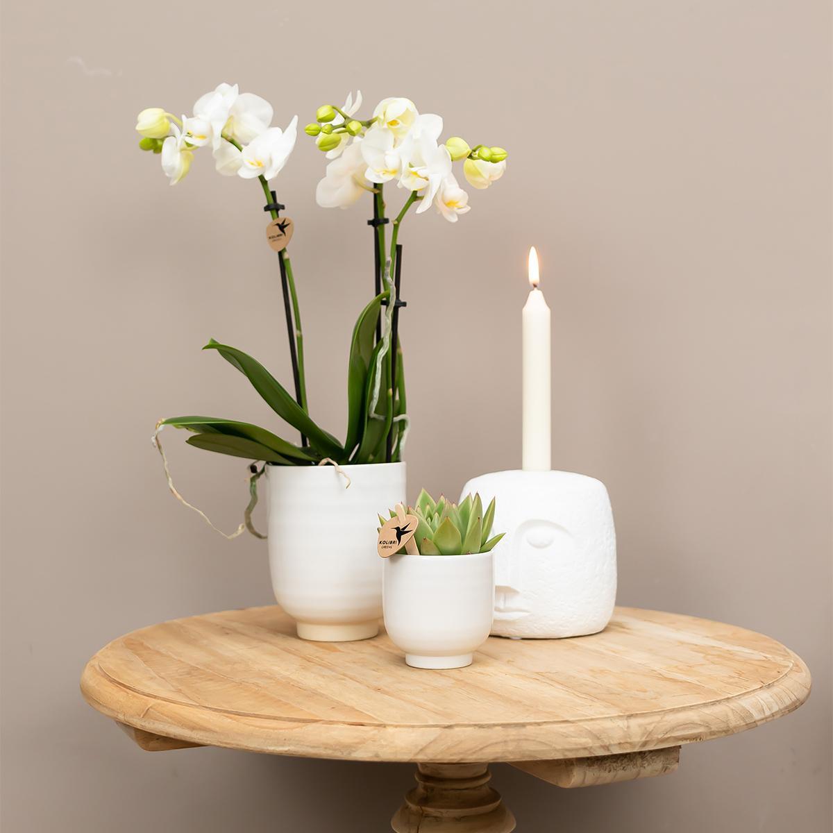 Kolibri Home | Glazed bloempot - Witte keramieken sierpot met glans - Ø6cm