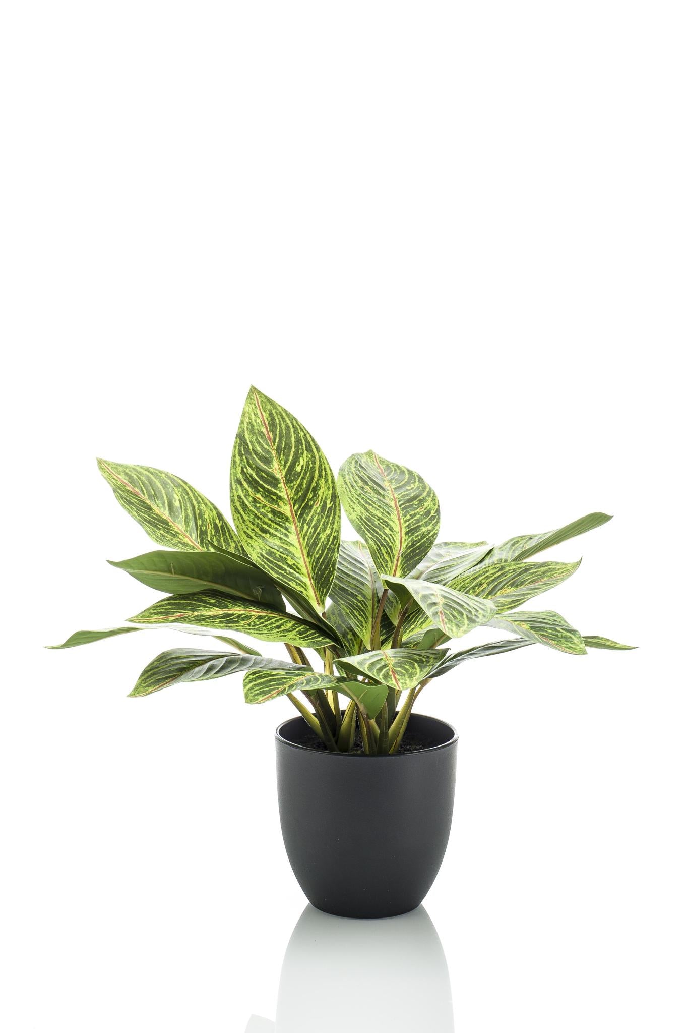 Kunstplant - Croton Codiaeum - Wonderstruik - 38 cm